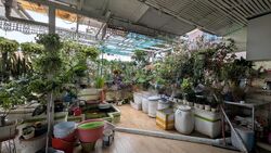 Summerdale (D22), Condominium #479998971